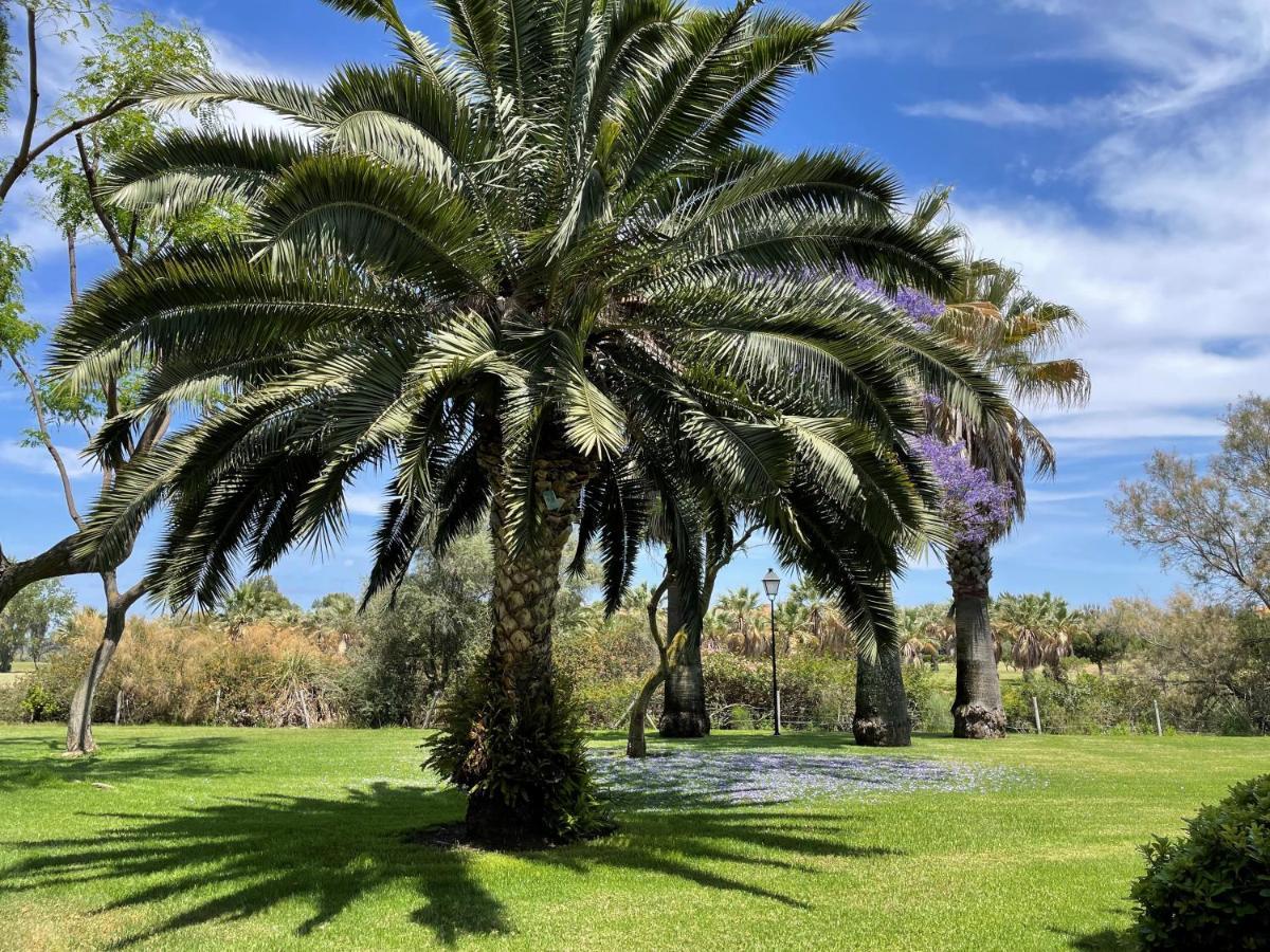 Golf, Kitesurf, Tennis, Paddle, Free Bicycles - Apartment Andalusia Isla Canela Kültér fotó